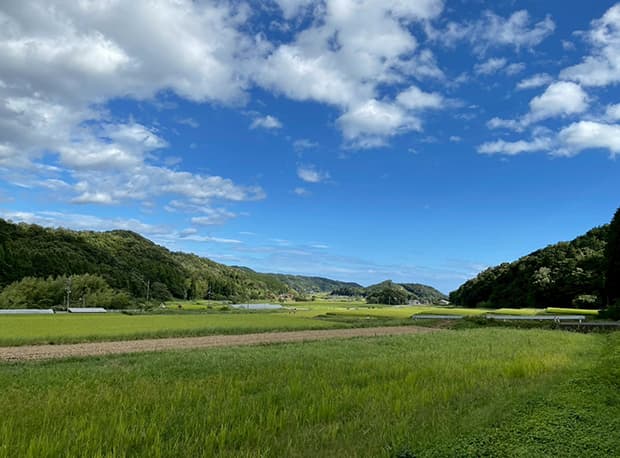 暮らしとカフェ 灯